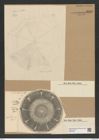 Aulacodiscus patulus Grun. (de-Toni-Nr.: Genus 182, Species 4595) Zeichnungen Sammlung Grunow Nr. 8190 (NHMW-BOT-W0377567)